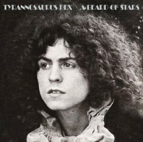 TYRANNOSAURUS REX - A BEARD OF STAR