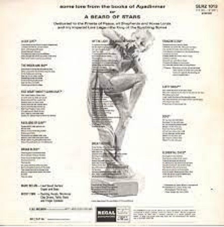 TYRANNOSAURUS REX - A BEARD OF STAR - Imagen 2