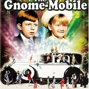 THE GNOME-MOBILE
