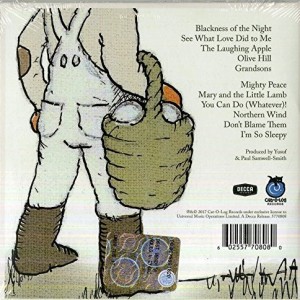 CAT STEVENS / YUSUF - THE LAUGHING APPLE