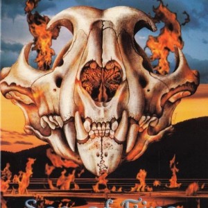 MOUNTAIN - SEA OF FIRE