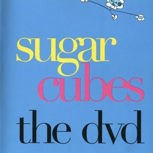 THE SUGARCUBES - THE DVD