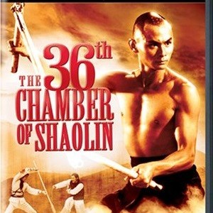 THE 36th CHAMBER OF SHAOLIN