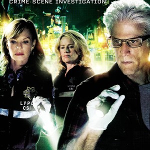 CSI - SEASON 12