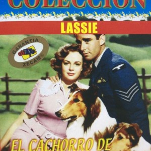 EL CACHORRO DE LASSIE