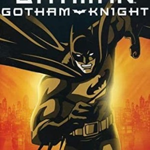 BATMAN GOTHAM KNIGHT