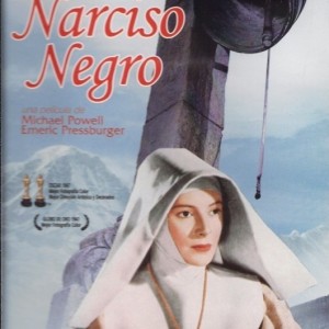 NARCISO NEGRO