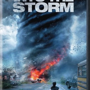 INTO THE STORM