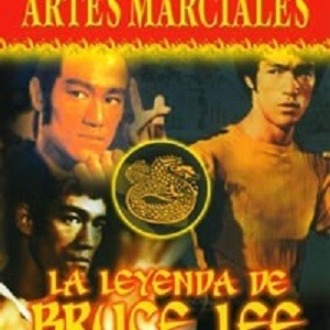 LA LEYENDA DE BRUCE LEE