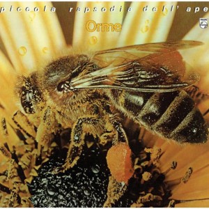 LE ORME - PICCOLA RAPSODIA DELL APE