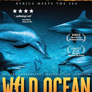 WILD OCEAN
