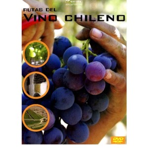 RUTAS DEL VINO CHILENO