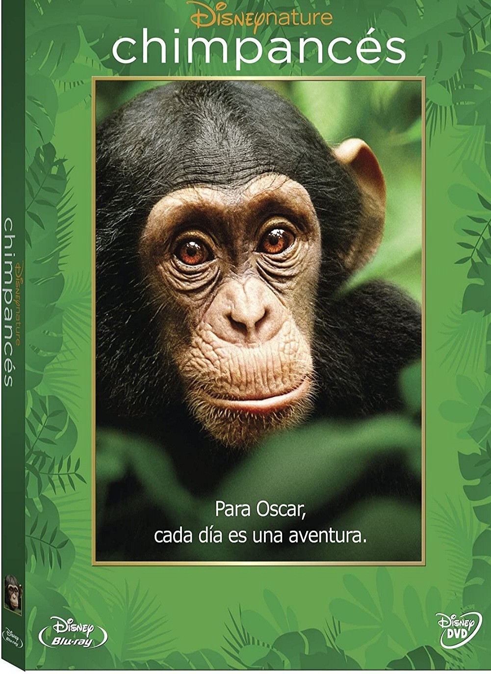 DISNEY NATURE - CHIMPANCES
