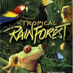 TROPICAL RAINFOREST - IMAX