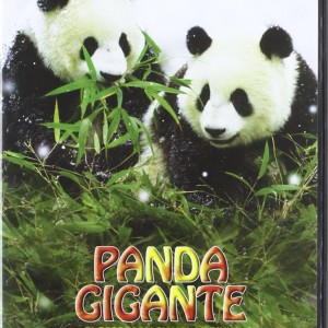 PANDA GIGANTE - EL TESORO NACIONAL DE CHINA