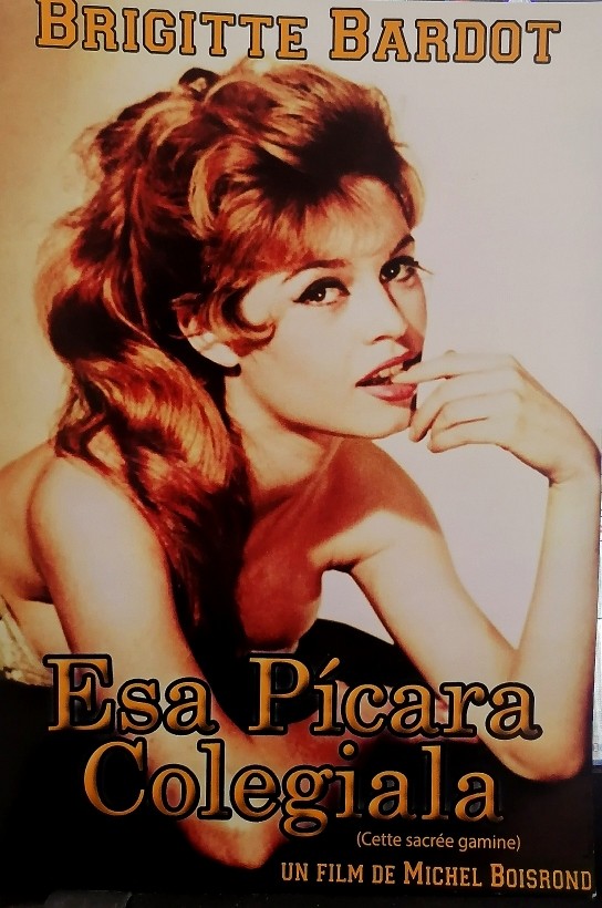 ESA PICARA COLEGIALA