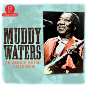 MUDDY WATERS - THE ABSOLUTELY ESSENTIAL