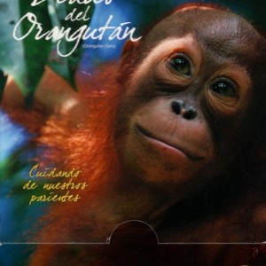 EL DIARIO DEL ORANGUTAN - BBC