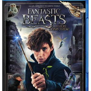 FANTASTIC BEASTS AND WHERE TO FIND THEM