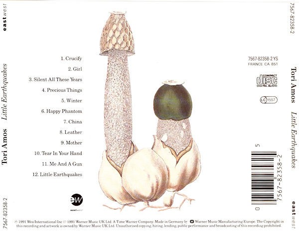 TORI AMOS - LITTLE EARTHQUAKES - Imagen 2