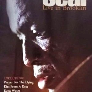 SEAL - LIVE IN BROOKLIN