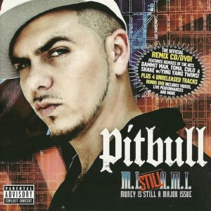 PITBULL - MONEY IS STILL A MAJOR ISSUE
