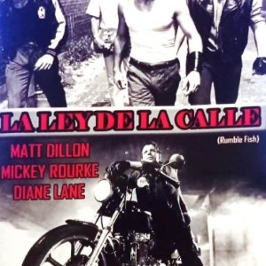 LA LEY DE LA CALLE