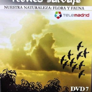 MADRID - RITMO SALVASJE - FLORA Y FAUNA - EL DESIERTO DE PAJA - EL ADIOS A LAS GOLONDRINAS