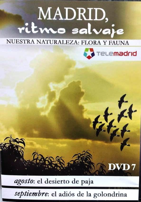 MADRID - RITMO SALVASJE - FLORA Y FAUNA - EL DESIERTO DE PAJA - EL ADIOS A LAS GOLONDRINAS