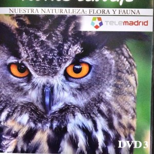 MADRID - RITMO SALVAJE - NUESTRA NATURALEZA FLORA Y FAUNA - SUEÑO DE LIRONES - INVIERNOS BLANCOS CUERVOS NEGROS