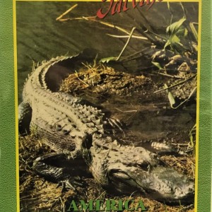 SANTUARIOS SALVAJES - AMERICA OCEANO PACIFICO