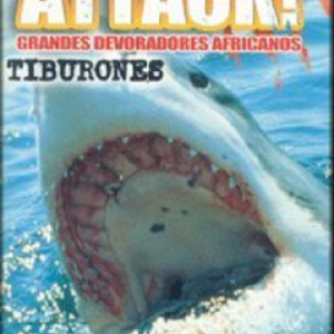 ATTACK ! - GRANDES DEVORADORES AFRICANOS - TIBURONES