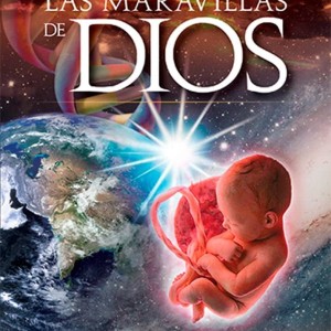 LAS MARAVILLAS DE DIOS