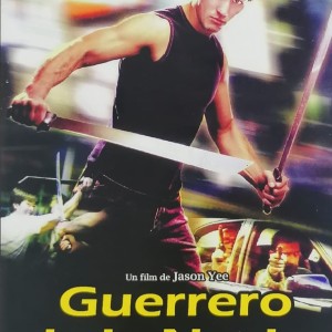 GUERRERO DE LA NOCHE