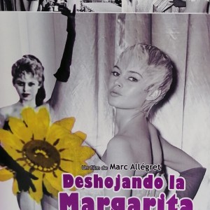 DESHOJANDO LA MARGARITA