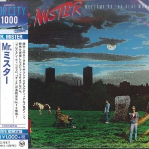 MR MISTER - WELCOME TO THE REAL WORLD