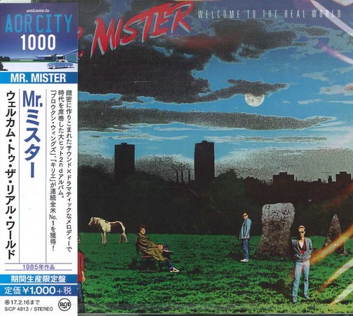 MR MISTER - WELCOME TO THE REAL WORLD