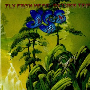 YES - FLY FROM HERE - RETURN TRIP