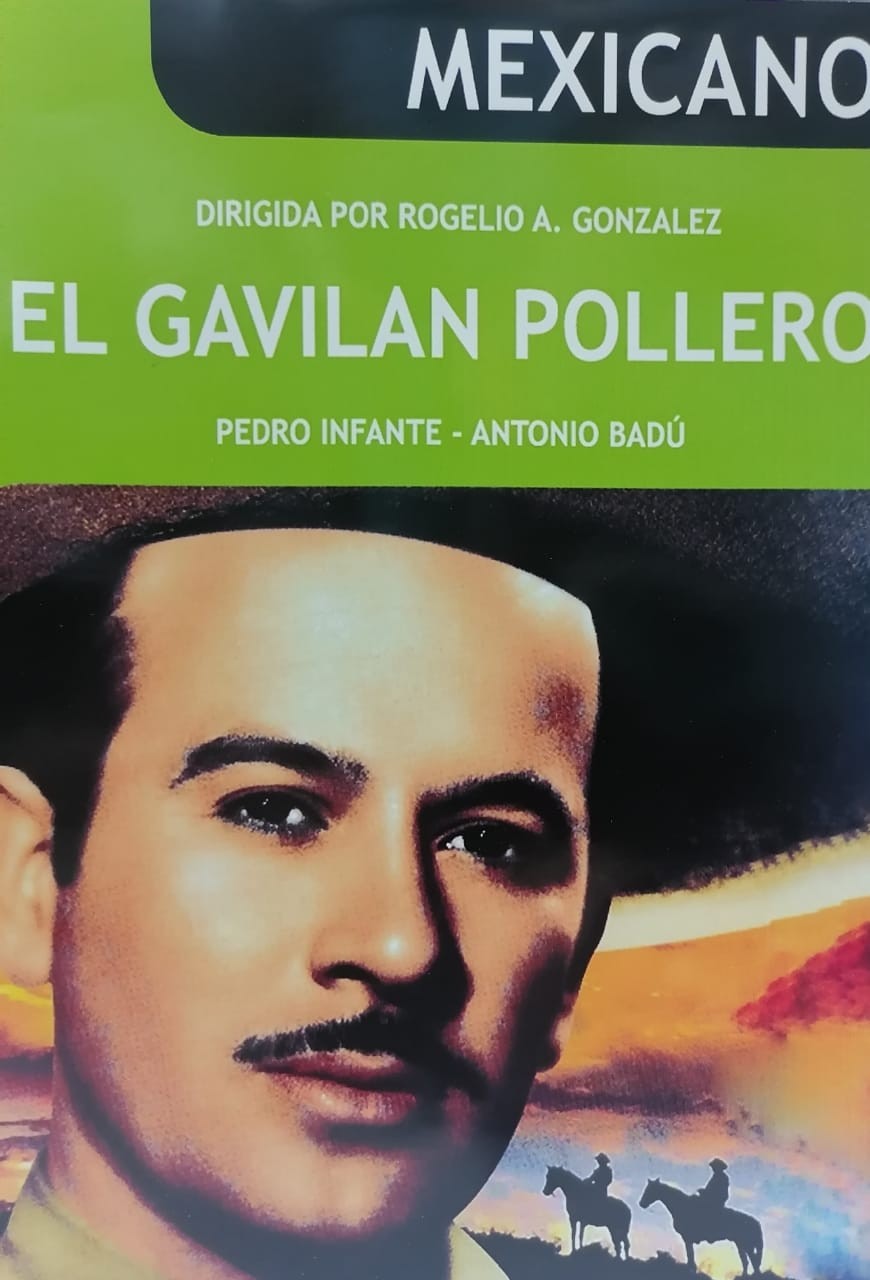 EL GAVILAN POLLERO
