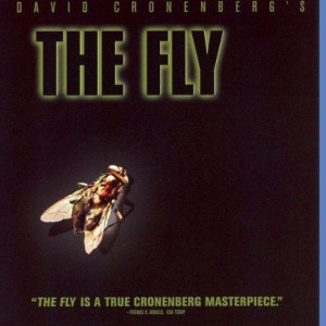 THE FLY