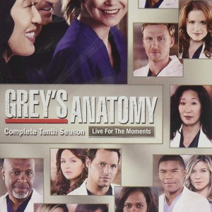 GREY'S ANATOMY - 10 SEASON