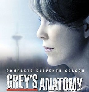 GREY´S ANATOMY - COMPLETE 11 SEASON
