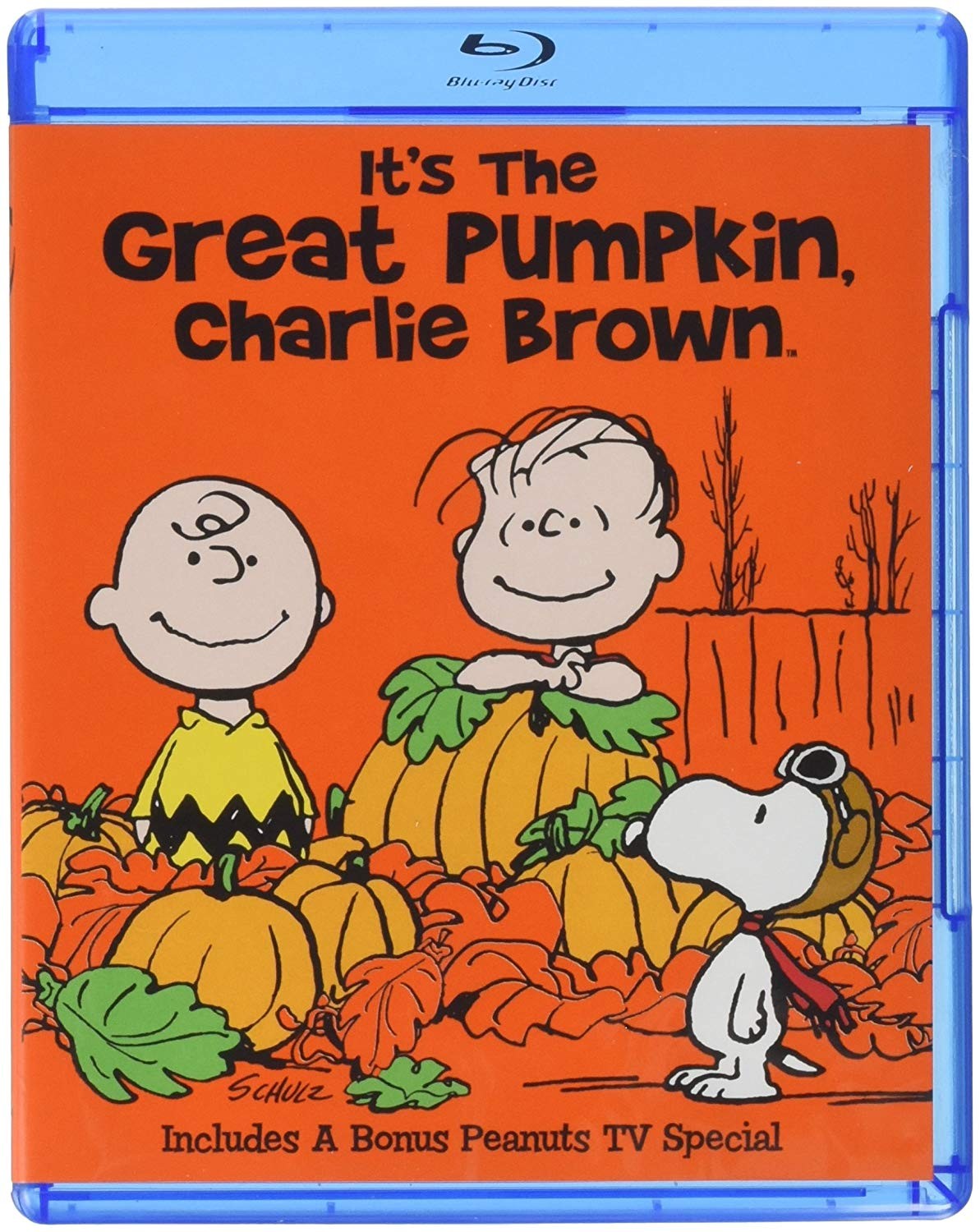 CHARLIE BROWN - IT THE GREAT PUMPKIN