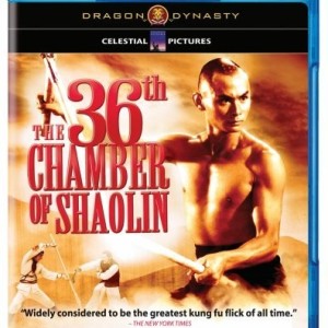 THE 36 TH CHAMBER OF SHAOLIN