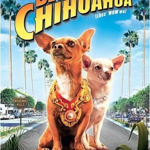 BEVERLY HILLS CHIHUAHUA